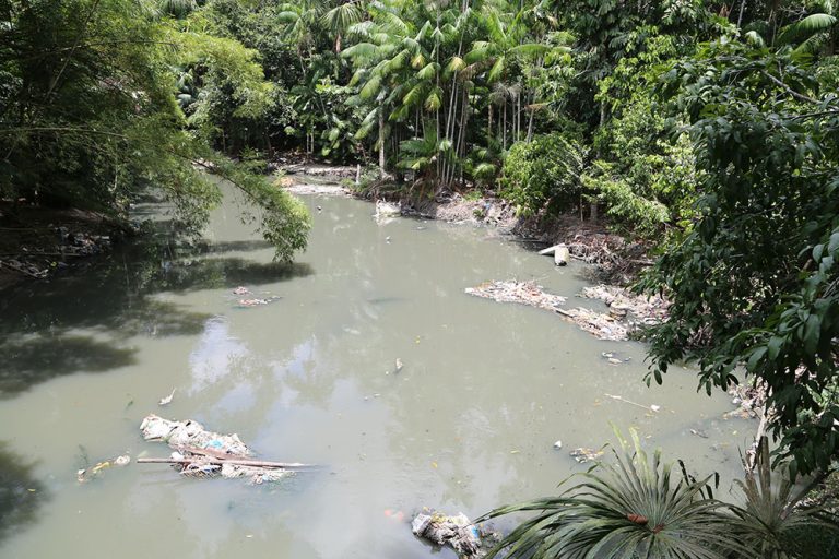 Fórum das Águas de Manaus: Quando vamos parar de poluir?