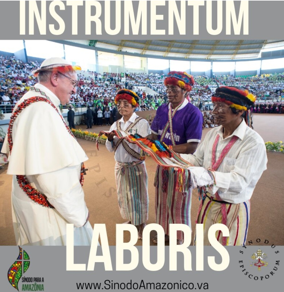 Instrumentum Laboris do Sínodo para a Amazônia, um novo passo de “um kairos para a Igreja e o mundo”