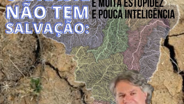 O Brasil não tem salvação: é muita estupidez e pouca inteligência