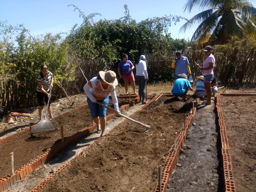 CEBs e Cáritas de Iguatu (CE) incentivam instalação de quintais produtivos